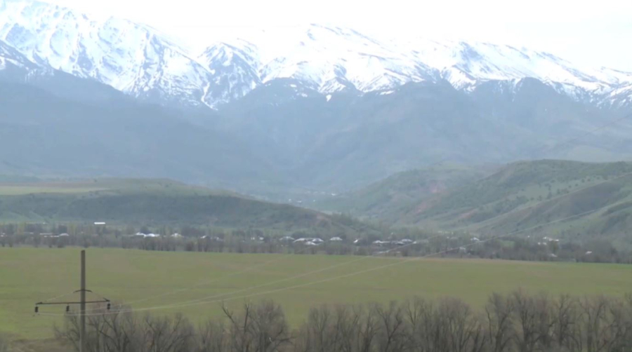 Түркістан облысында 1 млн га жер мемлекетке қайтарылды