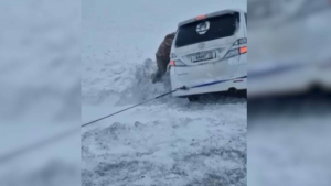 Семерых иностранцев спасли сотрудники МЧС