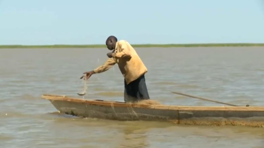 Озеро Чад потеряло 95% своей площади