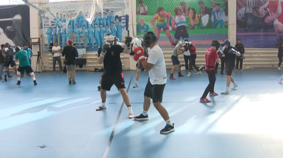 Звёзды бокса выступят в Астане