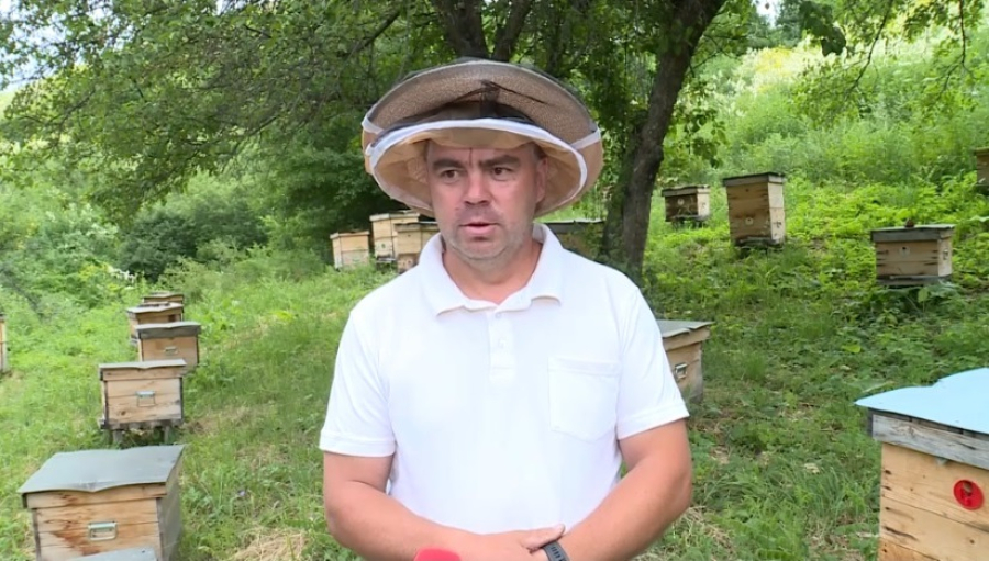 Плата за пользование лесным фондом выросла в Жетысу