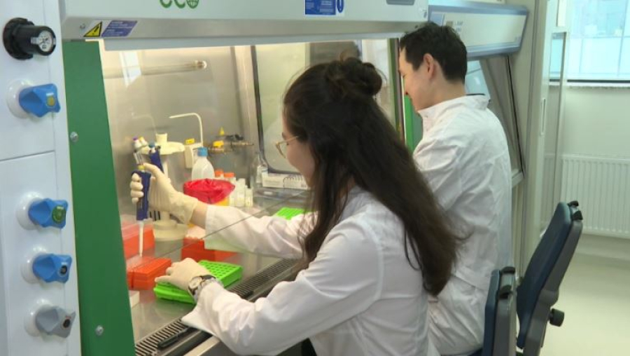 Больше 12 тысяч женщин в Казахстане – учёные