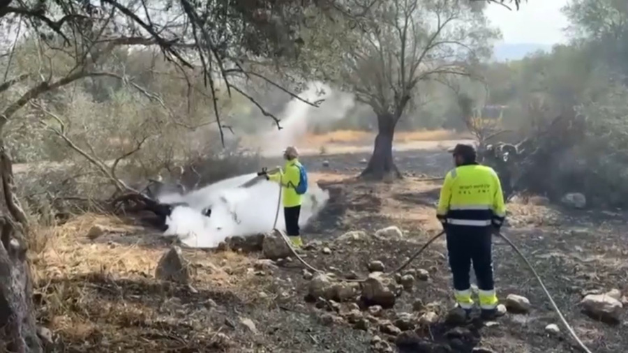 Чрезвычайное положение из-за лесных пожаров объявлено в Израиле
