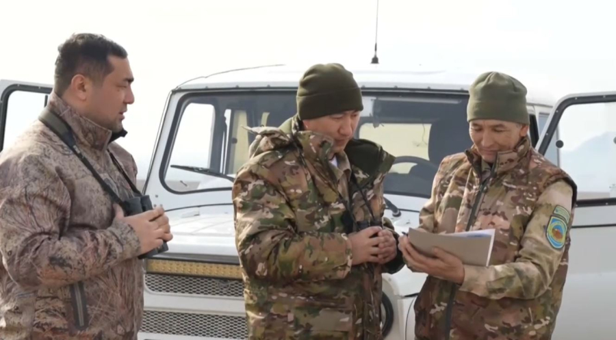 Жетісу облысында жабайы аңның саны өсті