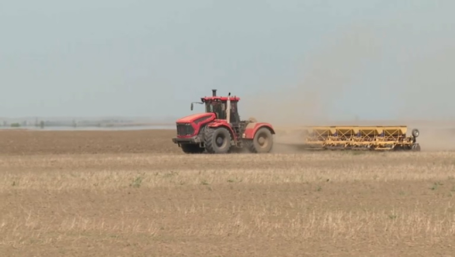Аграрии Акмолинской области завершили посевную