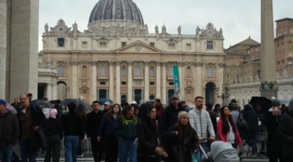 В Риме возобновится работа конференции ООН по биоразнообразию COP16