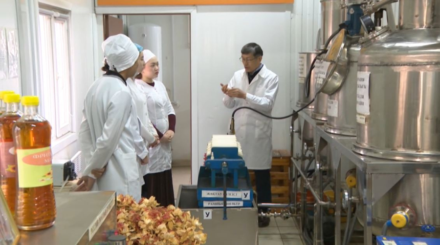 Как работает система коммерциализации науки