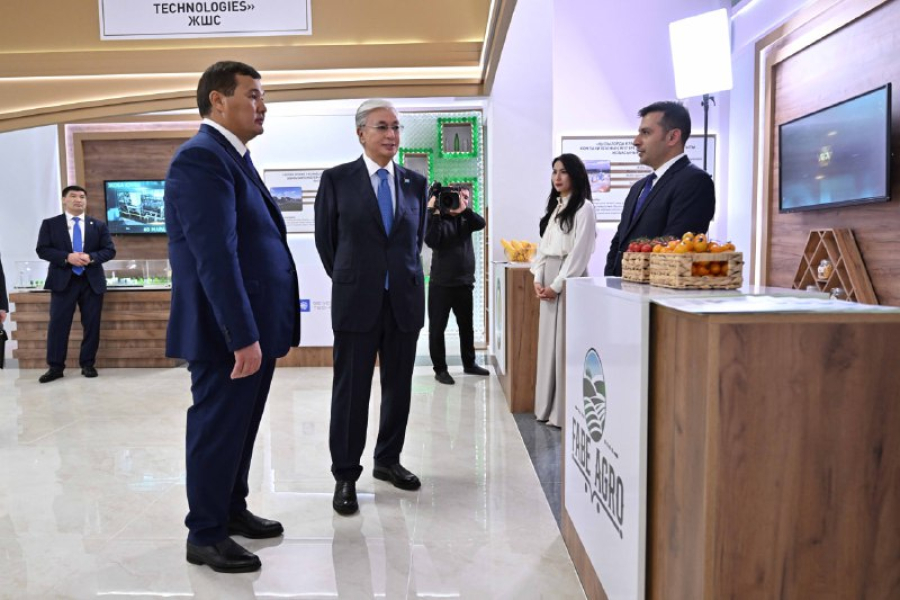 Президентке Қызылорда облысының инвестициялық жобалары таныстырылды