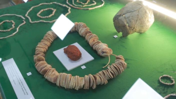 Уникальные археологические находки обнаружили в Атырауской области