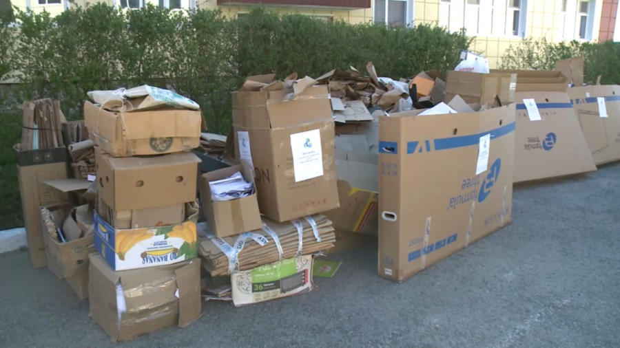 Ақтөбе оқушылары бір тонна макулатура жинады