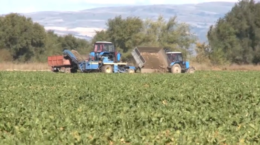 АПК: поручения Президента выполнены