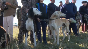 Елорда іргесінде шырға тартудан жарыс өтті