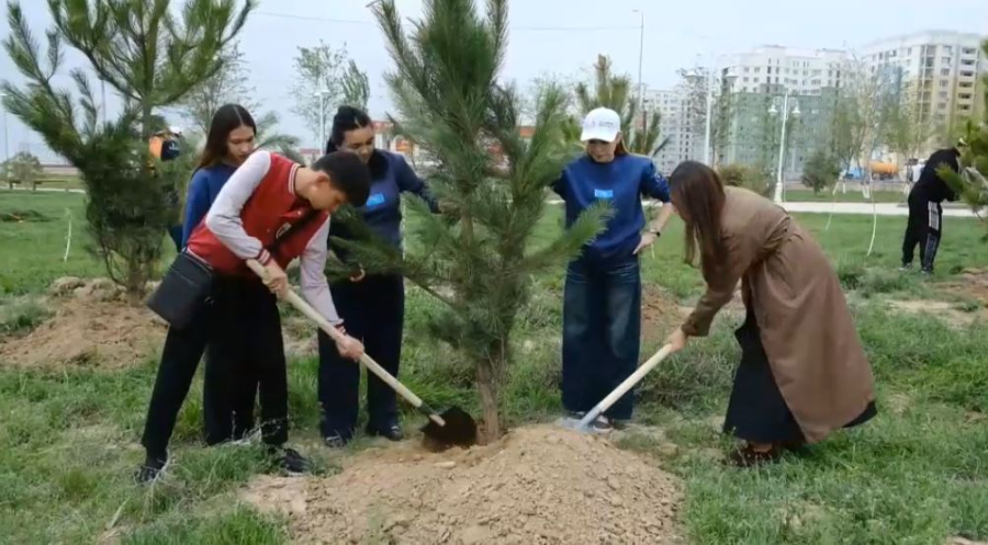 Түркістанда 2 мыңнан астам ағаш егілді