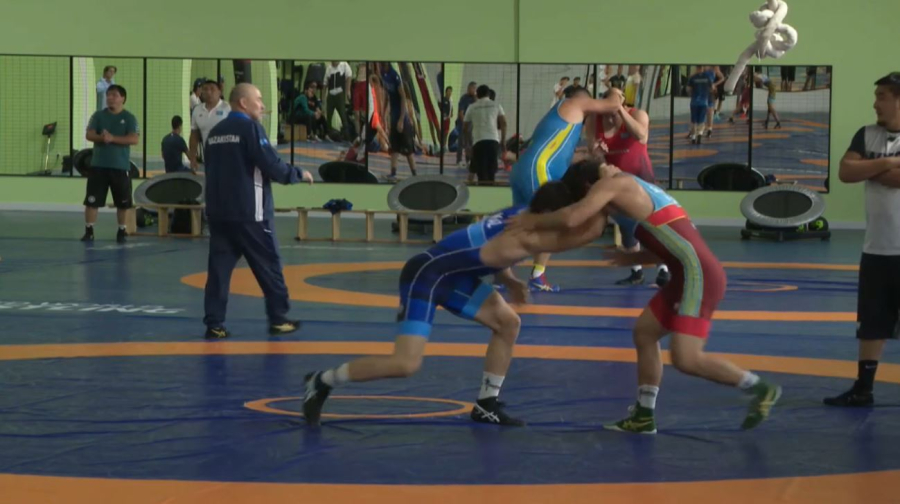Казахстанские борцы готовятся к чемпионату мира
