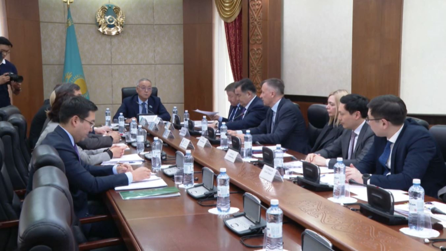 Сенатта Ұлттық қор қаражатын басқару тиімділігі талқыланды