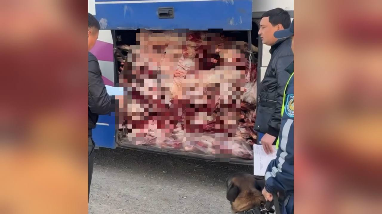 Мясо без документов нашли в багажнике пассажирского автобуса в Жетiсу