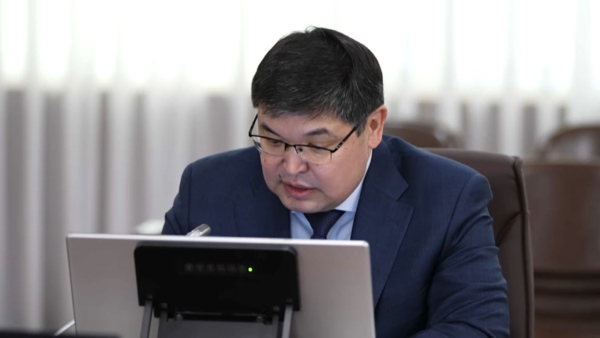 Қаржы министрі: Жеке кәсіпкерлер үшін кейбір қызмет түрлерін шектеу керек
