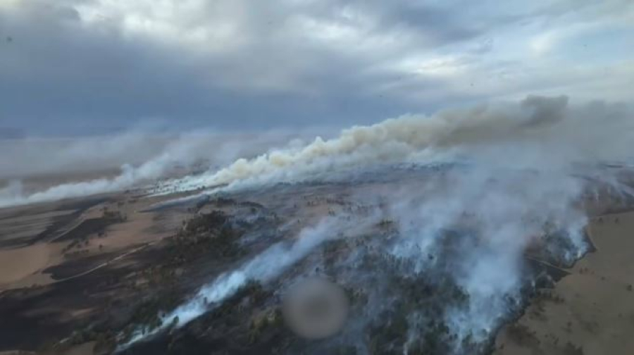 Пожары охватили 5 тысяч гектаров по стране