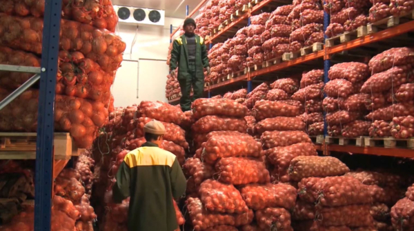 Цены на социально значимые продовольственные товары стабилизируют в РК