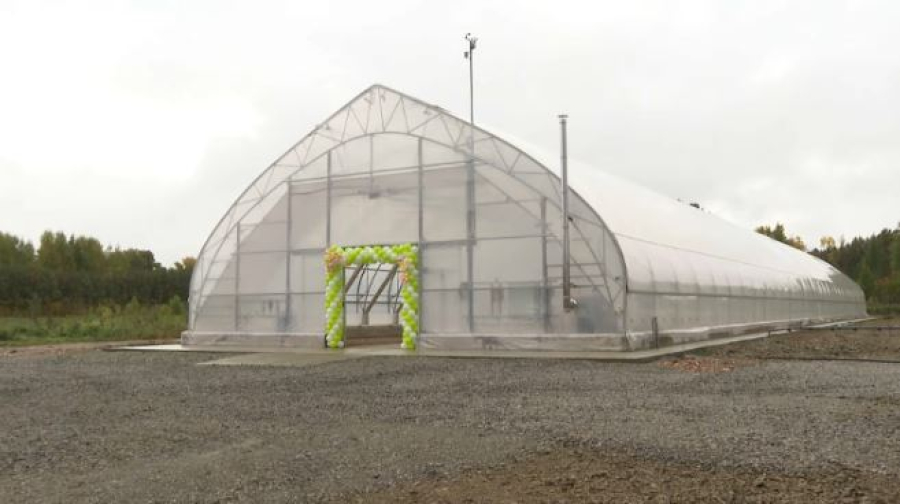 Тепличный комплекс открыли в Акмолинской области