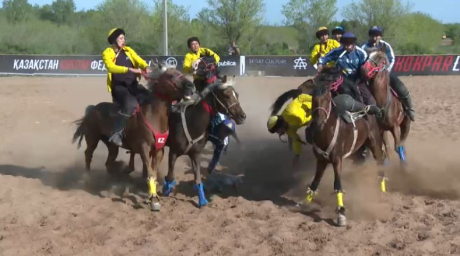 46 приоритетных видов спорта определили в Казахстане