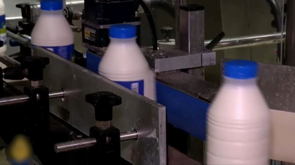 Китай начал антисубсидиарную проверку молочной продукции ЕС