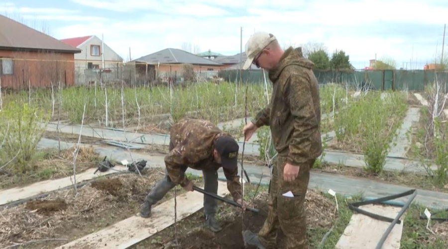 Ақтөбе тұрғыны қаланы алмалы баққа айналдырмақшы
