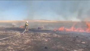 Пожар в области Ұлытау потушили