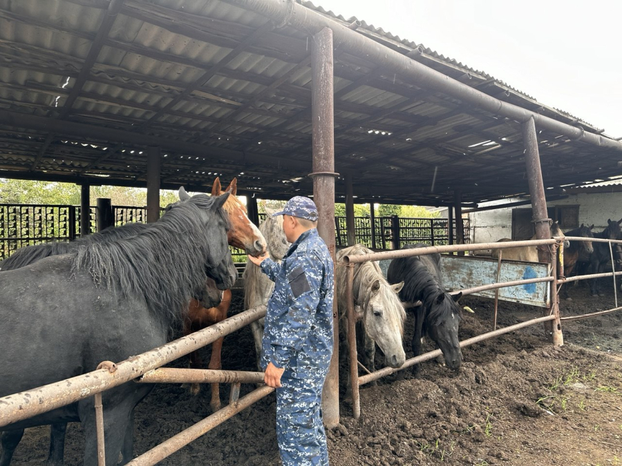 Всадники в погонах охраняют дачи Павлодара