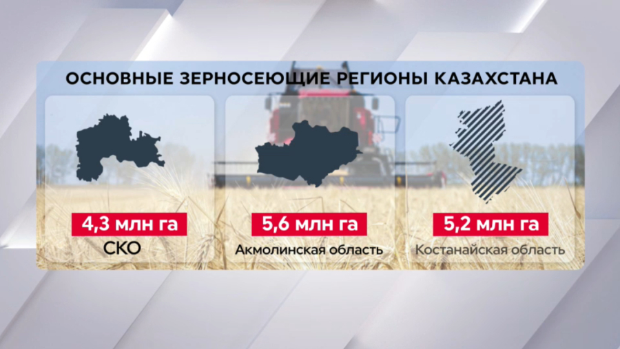 От пшеницы к новым культурам: итоги посевной-2026