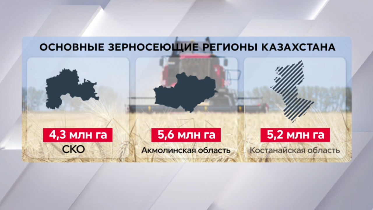 От пшеницы к новым культурам: итоги посевной-2026