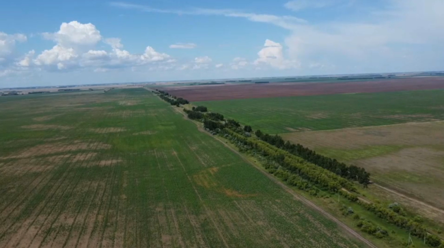 Карты продуктивности почв создадут в Павлодарской области