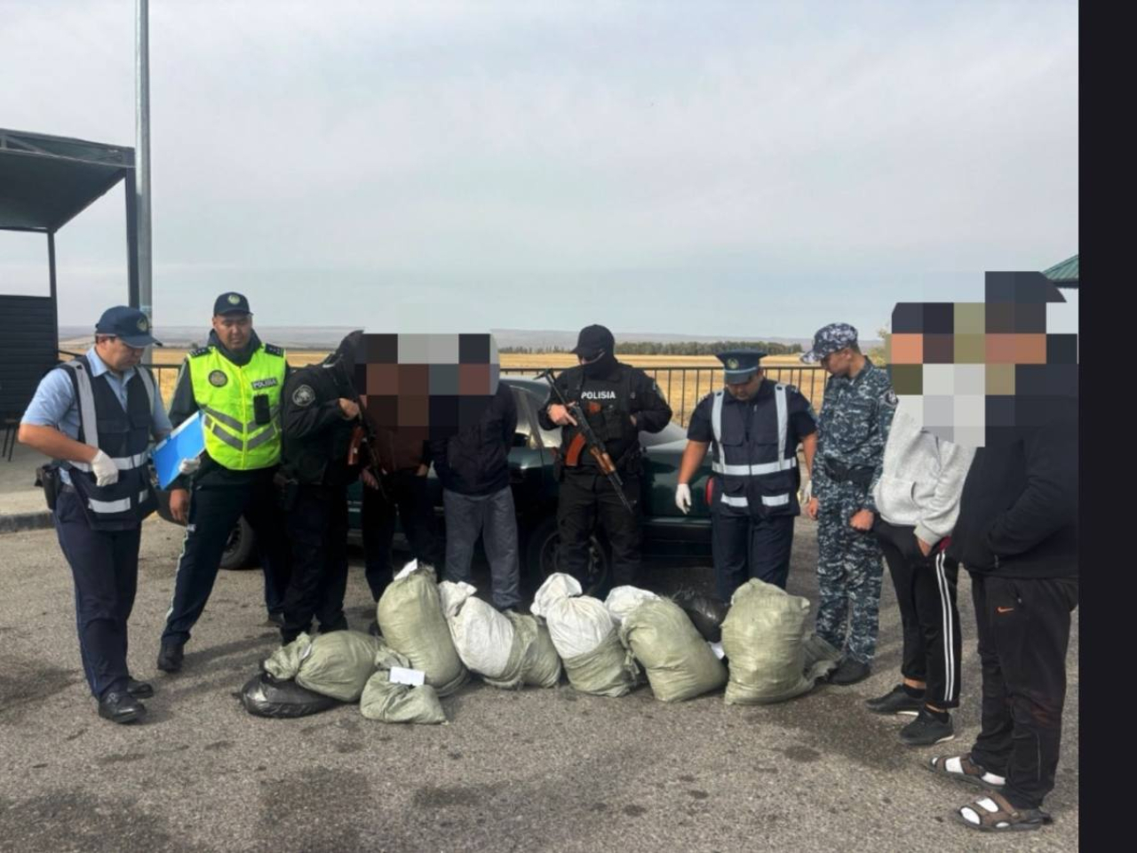 Крупную партию марихуаны изъяли на трассе в Жамбылской области