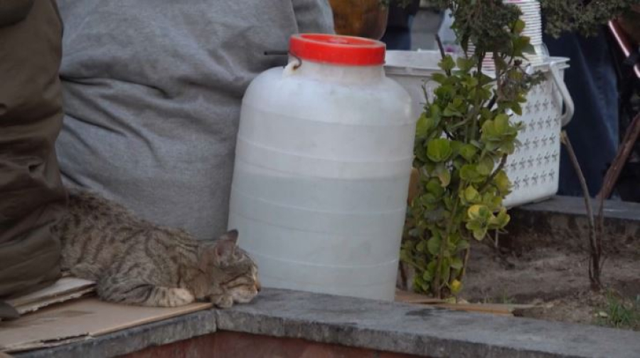 Иран столкнулся с водным кризисом