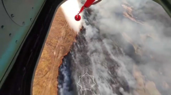 Пожар площадью 5 тыс. га ликвидировали в Костанайской области