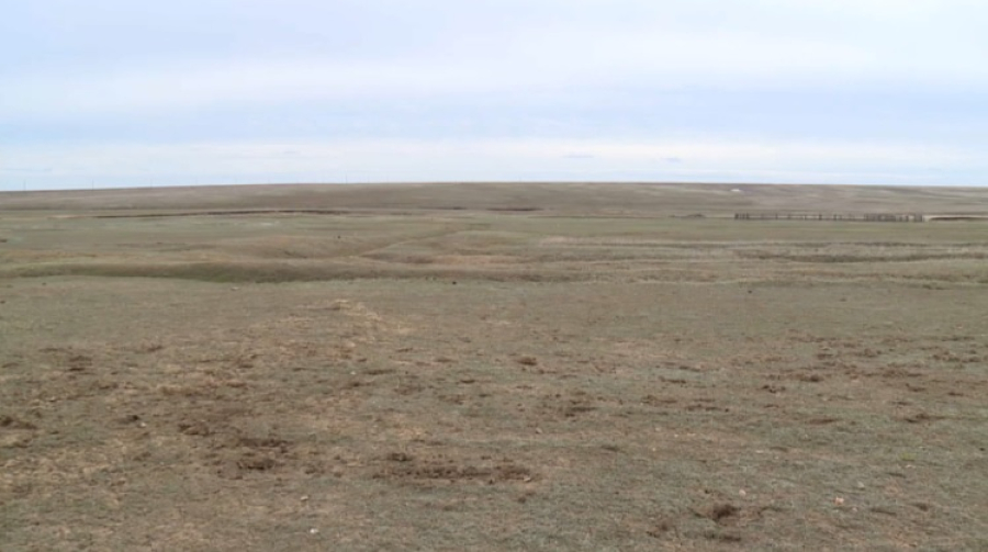2 млн га вернули государству в Карагандинской области