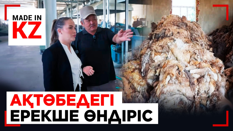 Қоқыстан құрылыс материалы: қой жүні қалай табысқа айналды?