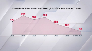 За 9 месяцев в Казахстане установили 58 очагов бруцеллёза