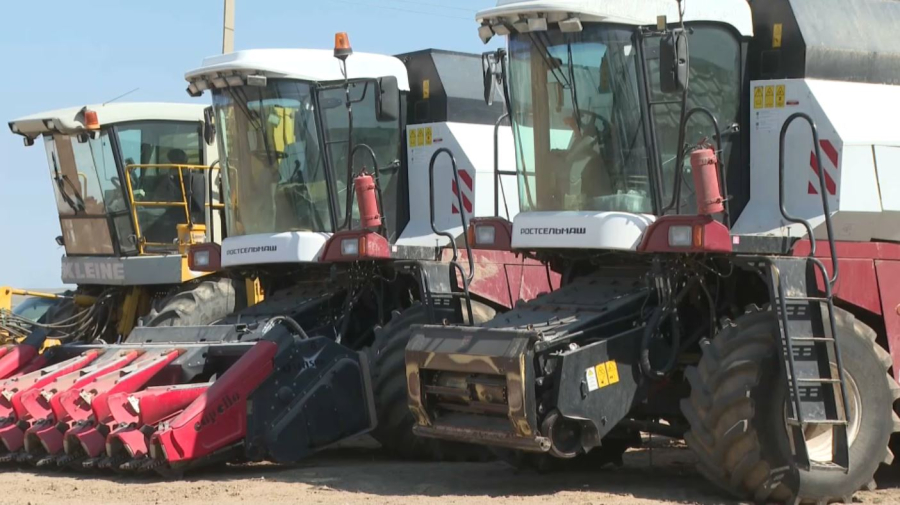 Жетісу облысында қант қызылшасы 13 мың гектар жерге егіледі