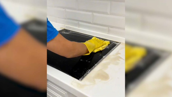 Елде клининг қызметіне сұраныс артып жатыр