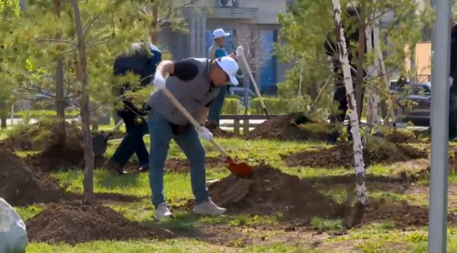 Аппарат Правительства принял участие в субботнике