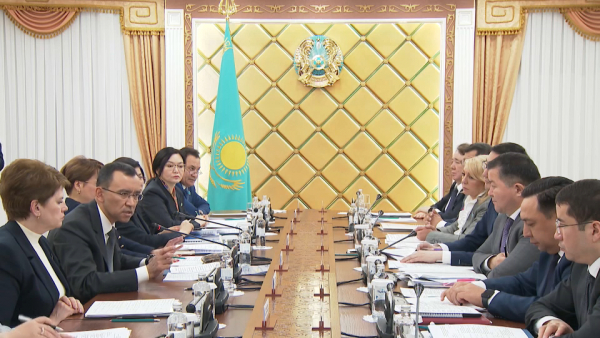 Маулен Ашимбаев выступил на заседании Совета по инклюзии