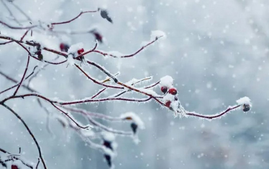 Морозы, туман и гололед: прогноз погоды на 27 февраля