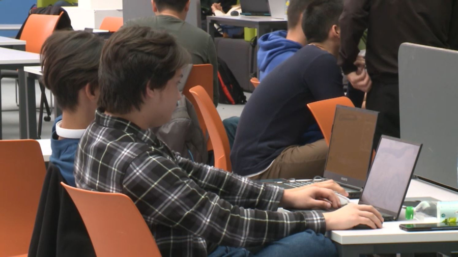 Какие профессии выбирают абитуриенты