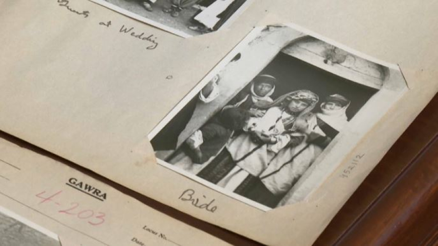 ИИ помог узнать возраст древних свитков