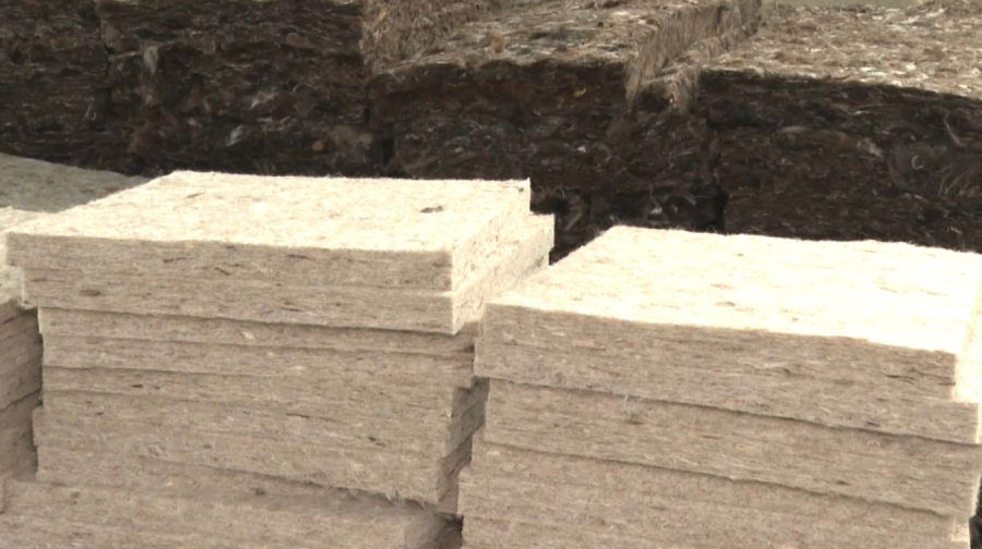 Завод по переработке овечьей шерсти открыли в Актобе