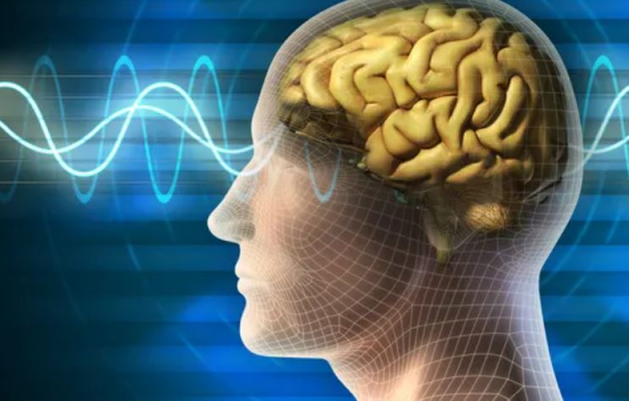 Американские ученые создали интерфейс для чтения мыслей паралитиков