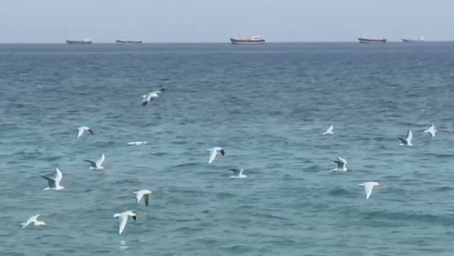 Иран Пәкістанның 20 кемесін Ормуз бұғазы арқылы өткізді