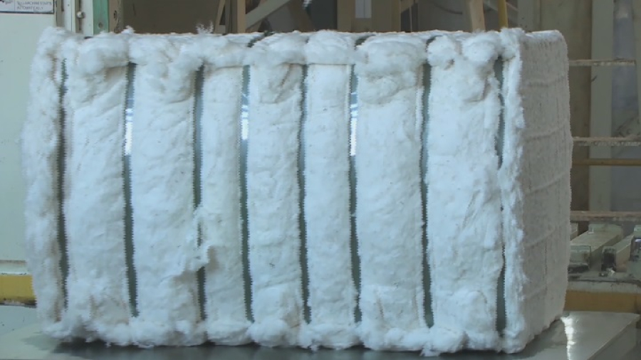 Елдегі мақта алқабын 135,2 мың гектарға жеткізу жоспары бар