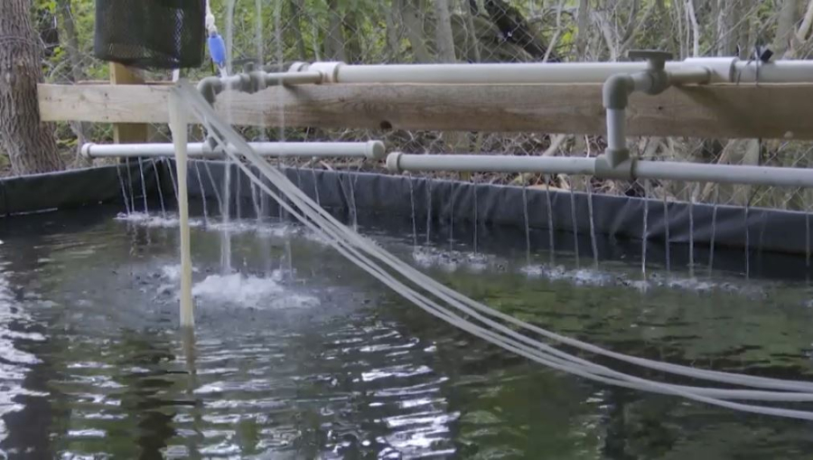 Аквашаруашылыққа қолдау бар